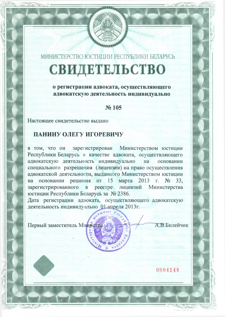 Свидетельство Панин.jpg